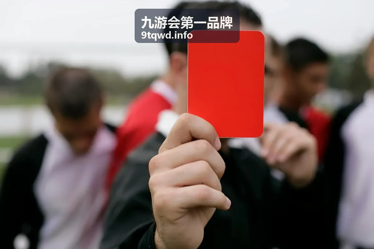 新手快速上手全攻略